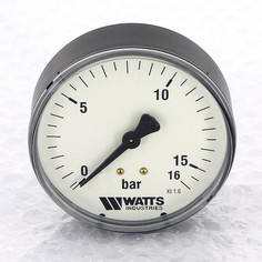 Манометр аксиальный 1/4" х 80/16 Bar Watts F+R100 10008029