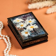 Шкатулка NO Brand