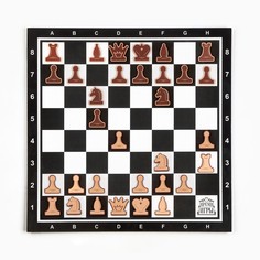 Демонстрационные шахматы Время игры