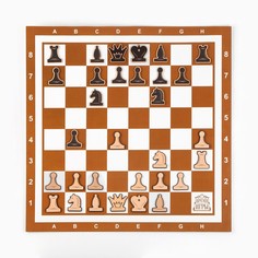 Демонстрационные шахматы Время игры