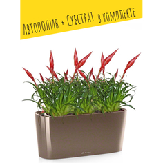 Товары для дачи и сада Lechuza Настольное кашпо с автополивом Delta 20 с субстратом 40х18х15 см 5 л