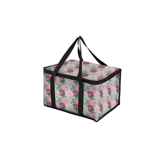 Термосумка "Astra" 40*27*25 см, ~27 л Рыжий Кот