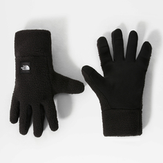 Мужские перчатки Fleeski Etip Glove The North Face