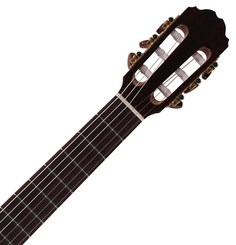 F65CW Performer Series Fiesta Kremona