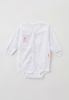 Боди Желтый кот 