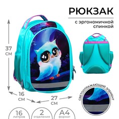 Рюкзак школьный, 37 х 27 х 16 см, эргономичная спинка, calligrata б