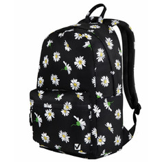 Школьные рюкзаки Brauberg Рюкзак Dream универсальный с карманом для ноутбука Camomile 42х26х14 см