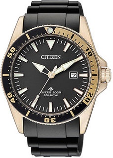 Японские наручные мужские часы Citizen BN0104-09E. Коллекция Promaster