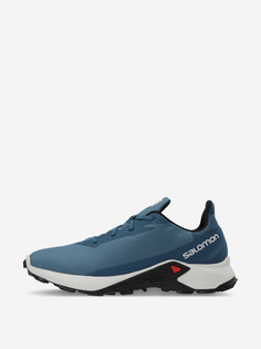 Кроссовки мужские Salomon Alphacross 3, Синий