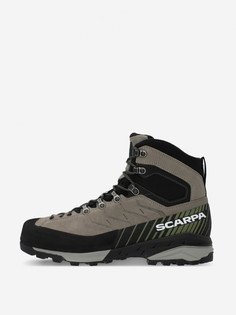 Ботинки мужские Scarpa Mescalito TRK GTX, Серый