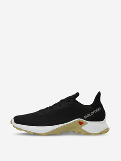 Кроссовки мужские Salomon Alphacross 3, Черный
