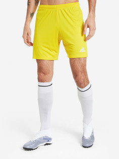 Шорты мужские adidas Squadra 21, Желтый