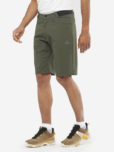 Шорты мужские Salomon Wayfarer, Зеленый