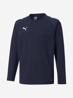 Толстовка футбольный для мальчиков PUMA Teamliga Training, Синий