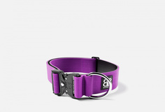 Ошейник для собак Bullybillows