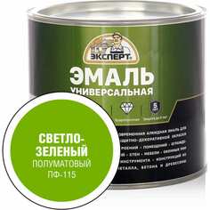 Универсальная алкидная эмаль Эксперт