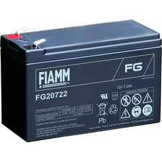 Аккумуляторная батарея FIAMM