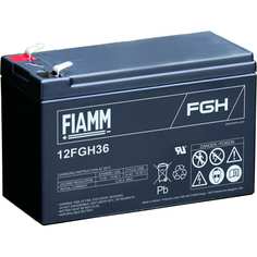 Аккумуляторная батарея FIAMM