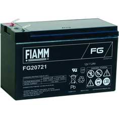 Аккумуляторная батарея FIAMM