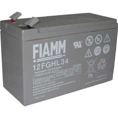 Аккумуляторная батарея FIAMM