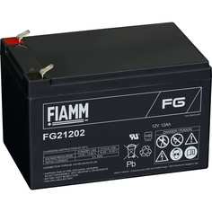 Аккумуляторная батарея FIAMM