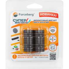 Ферритовый магнит-диск Forceberg