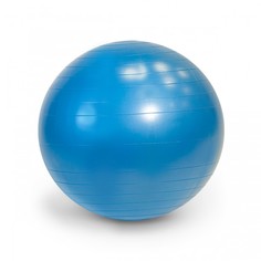 Мячи Gymnic Plus Мяч гимнастический Фитбол 65 см