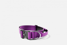 Ошейник для собак Bullybillows