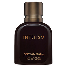 POUR HOMME INTENSO Парфюмерная вода Dolce & Gabbana
