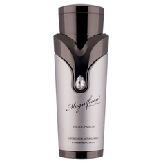 ARMAF MAGNIFICENT POUR HOMME Парфюмерная вода Sterling Parfums