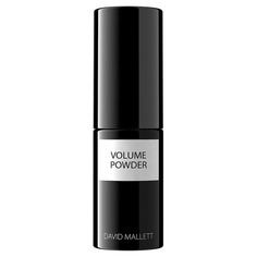 Volume Powder Пудра для объема волос David Mallett