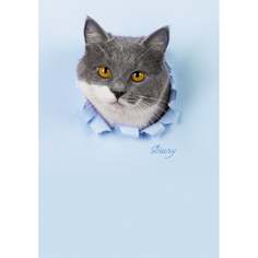 Тетрадь listoff