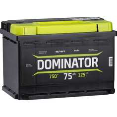 Аккумулятор Dominator