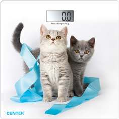 Электронные напольные весы Centek