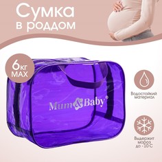 Сумка в роддом 23х32х17, цветной пвх, цвет фиолетовый Mum&Baby