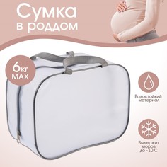 Косметичка для роддома 23х32х17 пвх Mum&Baby