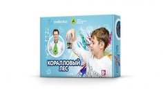 Наборы для выращивания Intellectico Коралловый лес