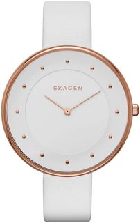 Наручные часы Skagen SKW2291