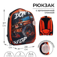 Рюкзак каркасный школьный, 37 х 28 х 19 см, calligrata к