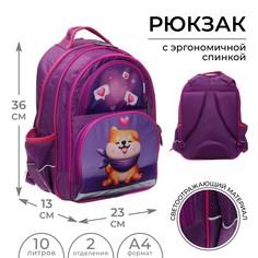 Рюкзак школьный, 36 х 23 х 13 см, эргономичная спинка, calligrata п
