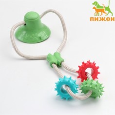 Игрушка для собак Пижон