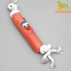 Игрушка на канате Пижон