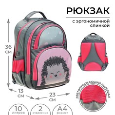 Рюкзак школьный, 36 х 23 х 13 см, эргономичная спинка, calligrata п