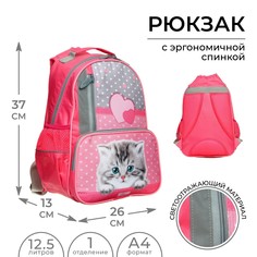 Рюкзак школьный, 37 х 26 х 13 см, эргономичная спинка, calligrata орт