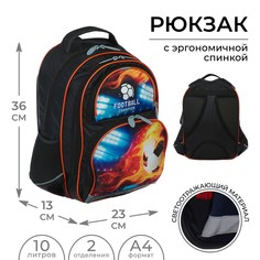 Рюкзак школьный, 36 х 23 х 13 см, эргономичная спинка, calligrata п