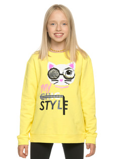 Толстовка Pelican