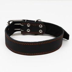 Ошейник кожаный на синтепоне, 82 х 4.5 см, ош 50-70 см, черный Пижон