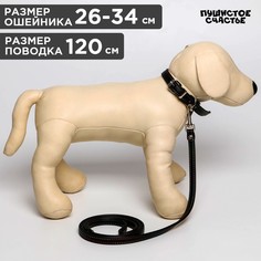 Комплект ошейник (26-34х1.4 см) и поводок (120х1 см) из экокожи, черный с цветной нитью Пушистое счастье