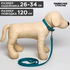 Комплект ошейник (26-34х1.4 см) и поводок (120х1 см) из экокожи, бирюзовый Пушистое счастье