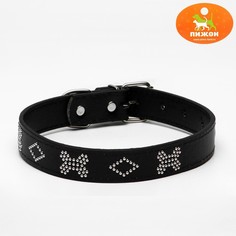 Ошейник Пижон